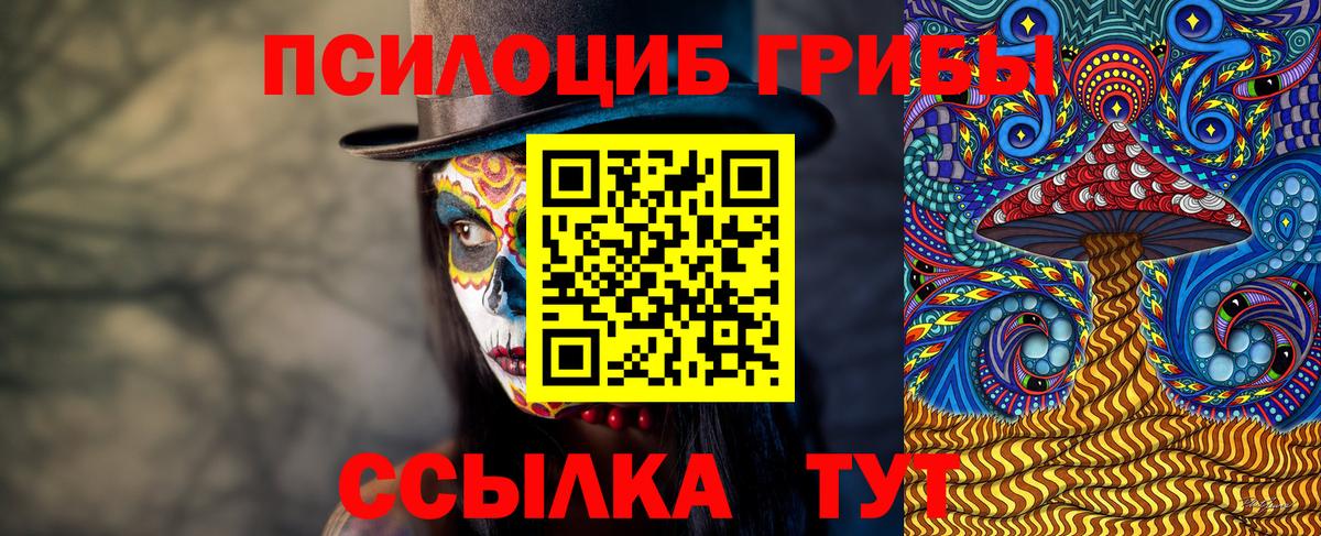 Псилоцибиновые грибы мицелий Бугульма