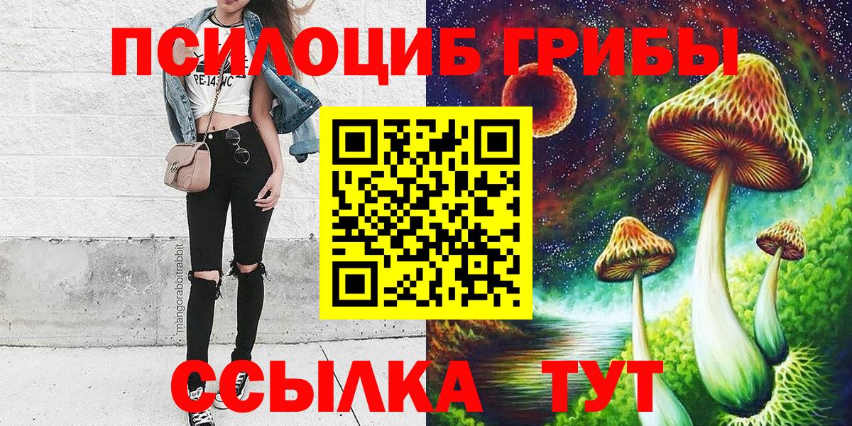 Галлюциногенные грибы Psilocybe  Псилоцибиновые грибы мицелий  Вход с VPN  Бугульма 